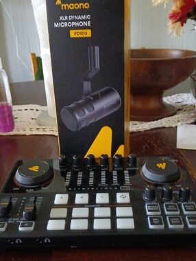 PD100 XLR Dynamic Microphone - Black
